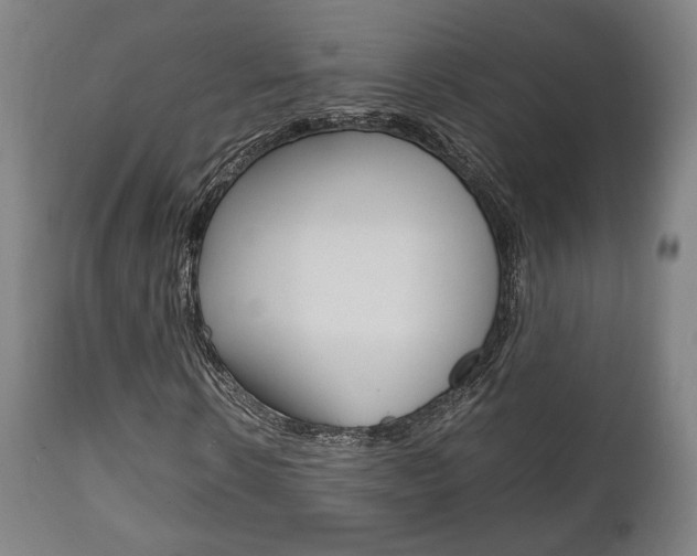 X0000111780914200907230946