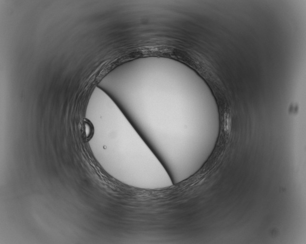 X0000111780915200907230946