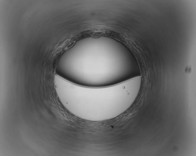 X0000111780916200907230946