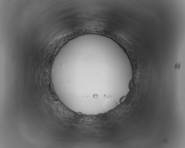 X0000111780917200907230946
