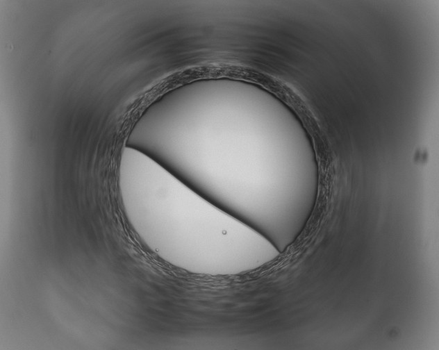 X0000111780919200907230946