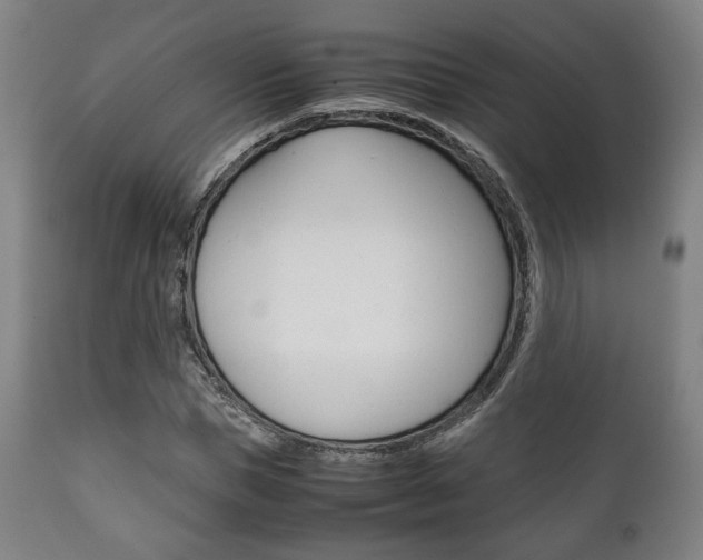 X0000111780921200907230946