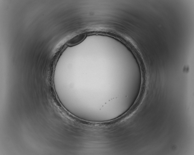 X0000111780922200907230946