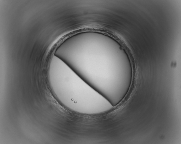 X0000111780923200907230946