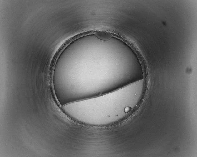 X0000111780924200907230946