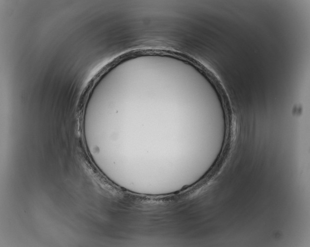 X0000111780925200907230946