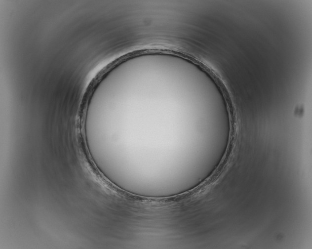 X0000111780928200907230946