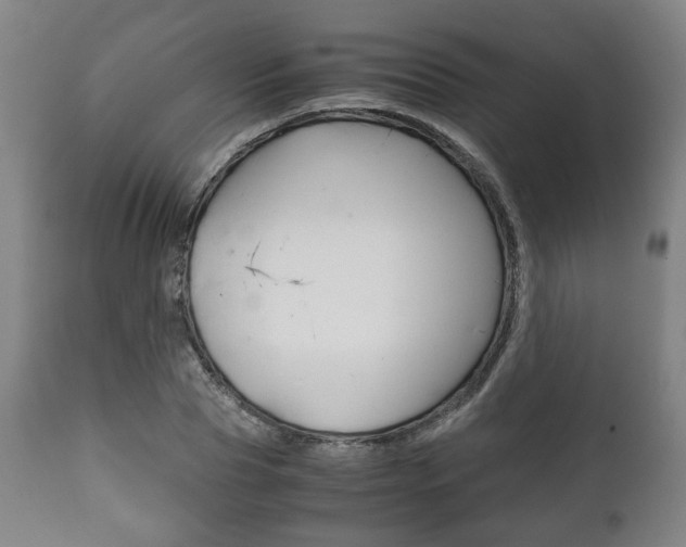 X0000111780929200907230946