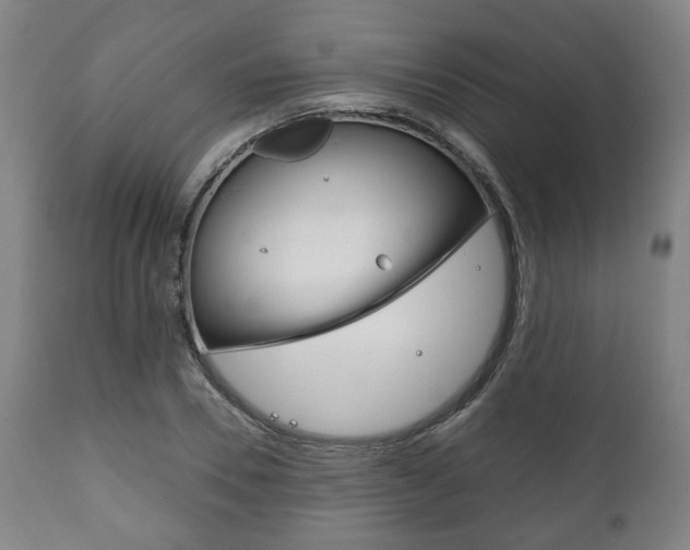 X0000111780930200907230946