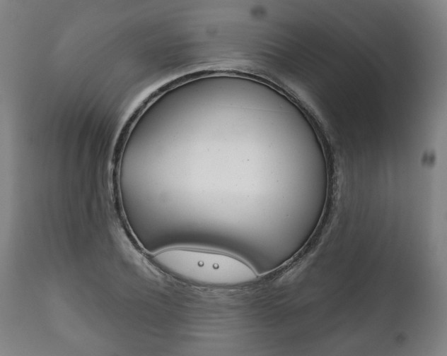 X0000111780932200907230946