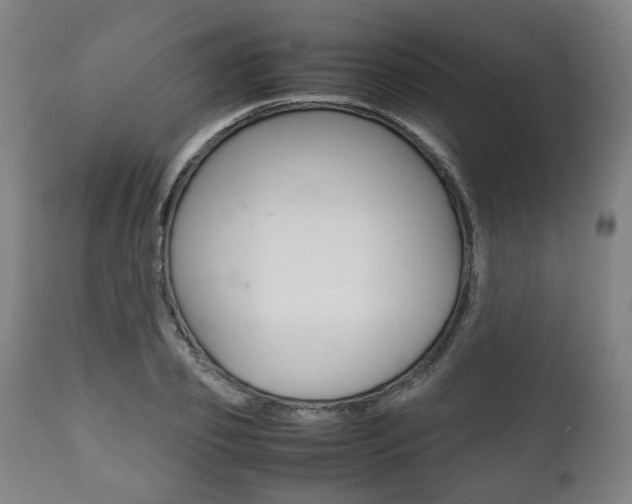 X0000111780933200907230946