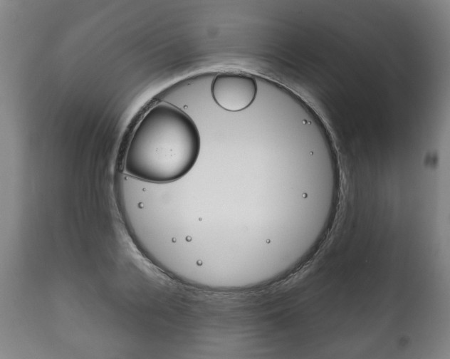 X0000111780936200907230946