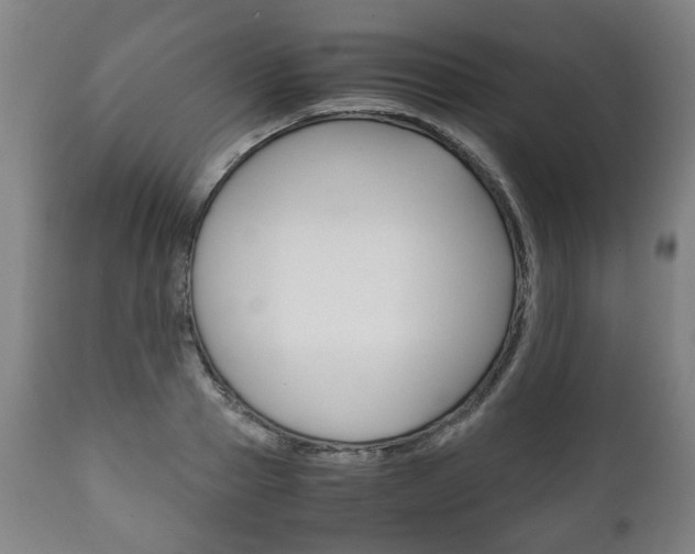 X0000111780937200907230946