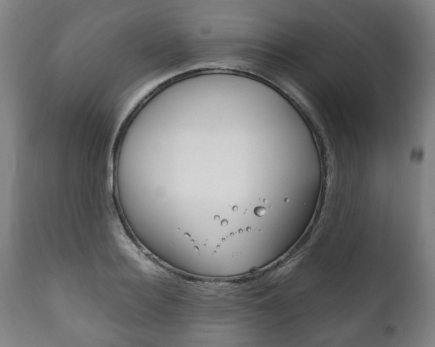 X0000111780940200907230946
