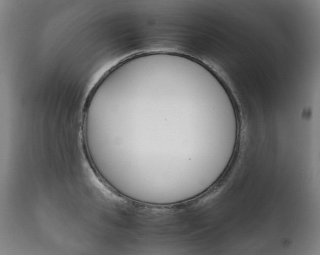 X0000111780941200907230946