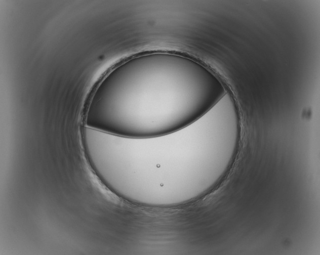 X0000111780942200907230946