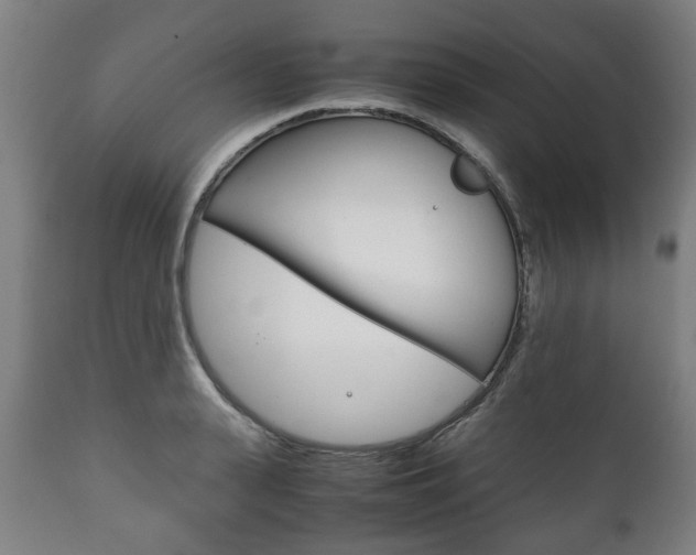 X0000111780943200907230946