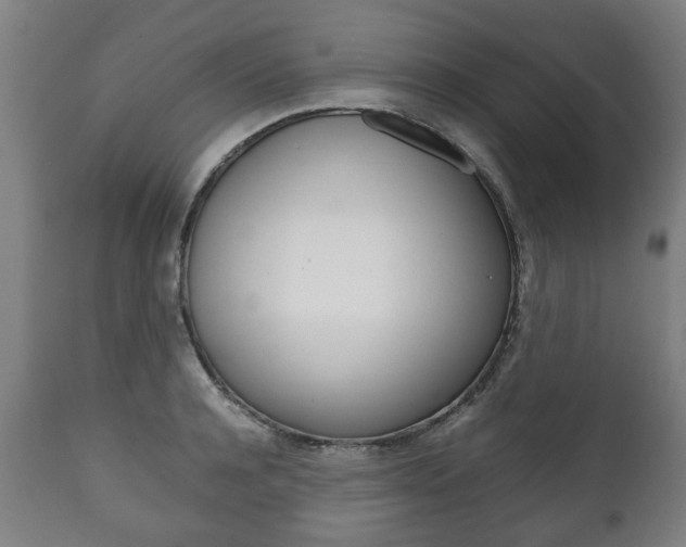 X0000111780944200907230946