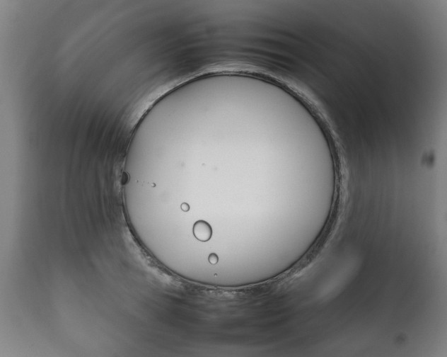 X0000111780945200907230946