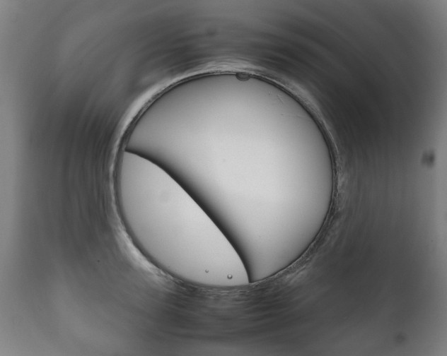 X0000111780947200907230946