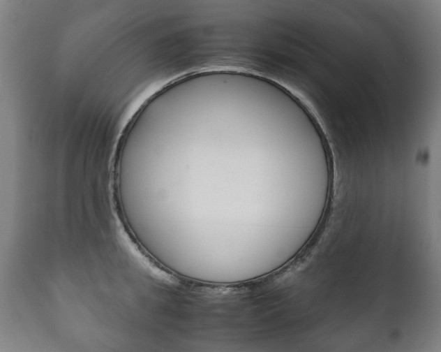 X0000111780949200907230946