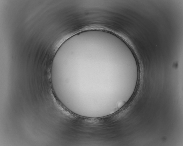 X0000111780953200907230946