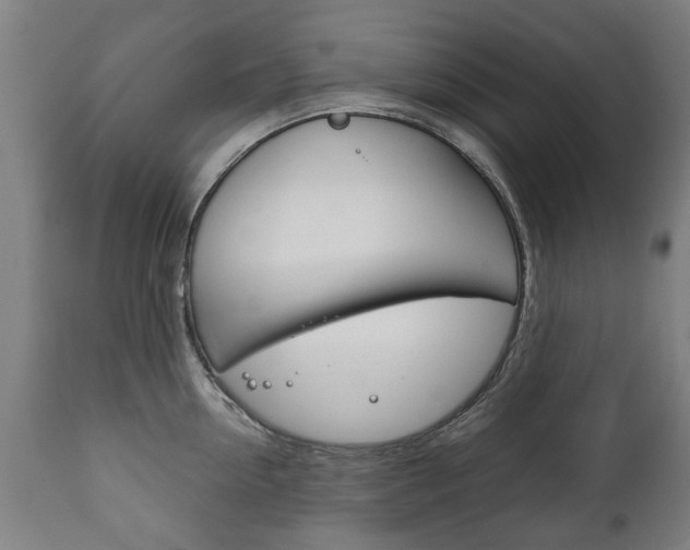 X0000111780954200907230946