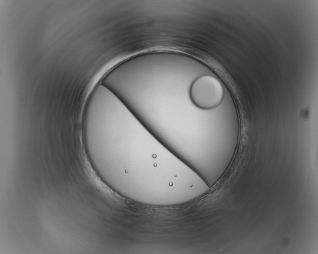 X0000111780955200907230946