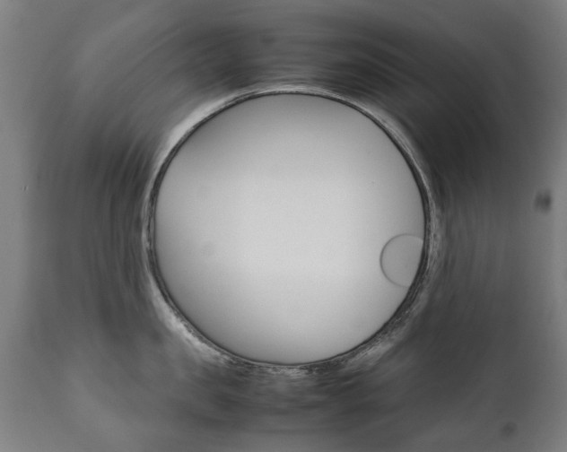 X0000111780957200907230946