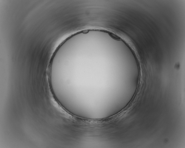 X0000111780958200907230946