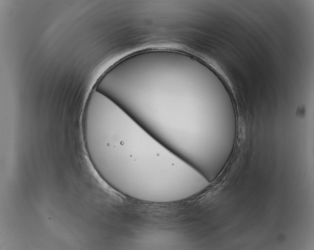 X0000111780959200907230946