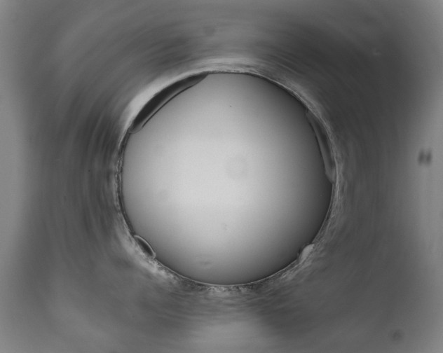 X0000111780960200907230946