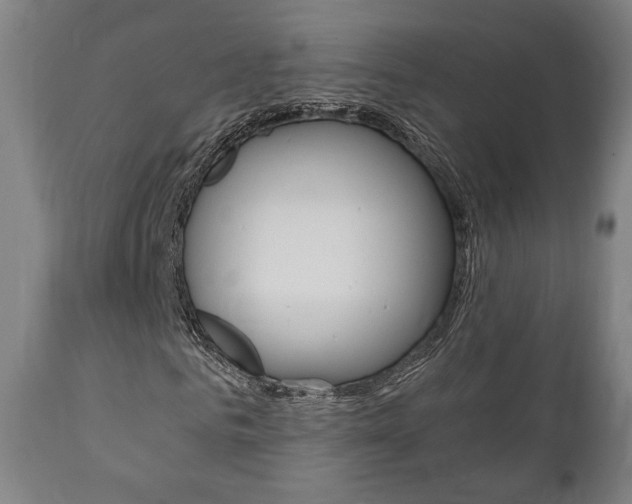 X0000111780961200907230946
