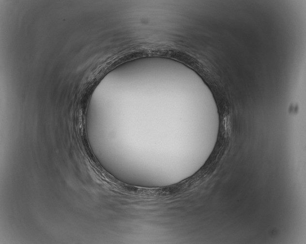 X0000111780963200907230945