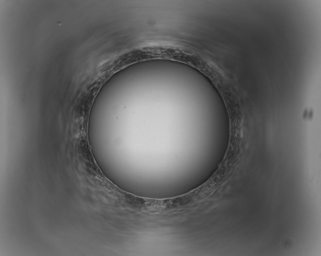 X0000111780965200907230945
