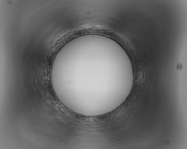 X0000111780966200907230945