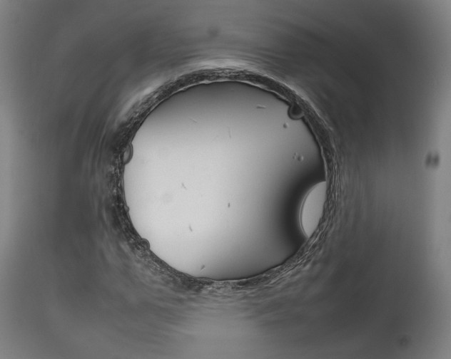 X0000111780967200907230945