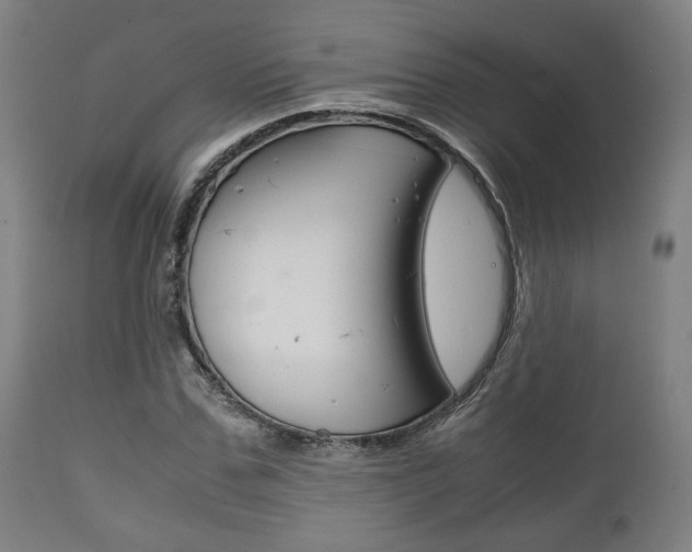 X0000111780971200907230945