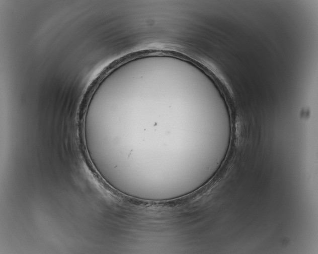 X0000111780972200907230945