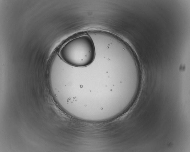 X0000111780973200907230945