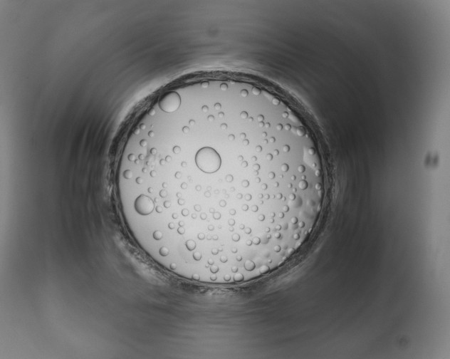 X0000111780974200907230945