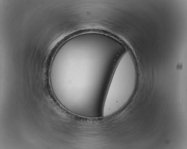 X0000111780975200907230945