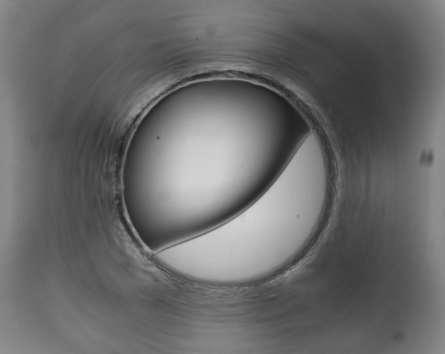 X0000111780977200907230945