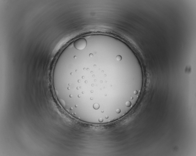 X0000111780978200907230945