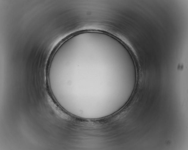 X0000111780980200907230945