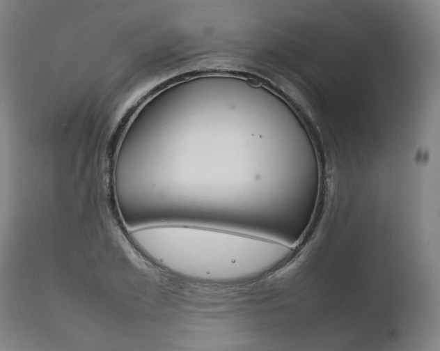 X0000111780981200907230945