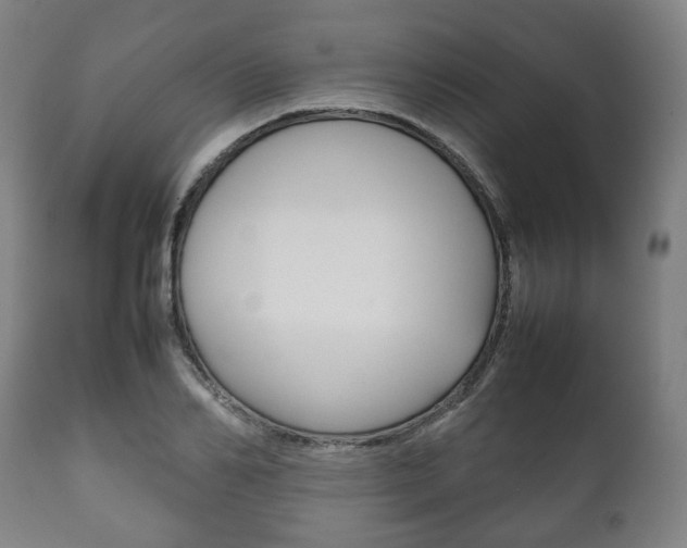 X0000111780982200907230945
