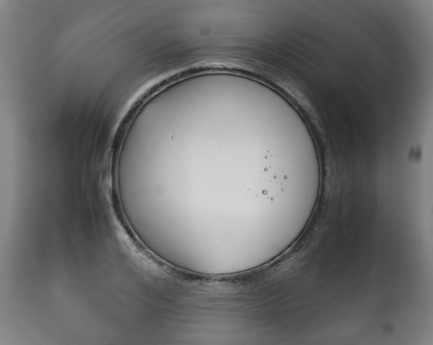 X0000111780984200907230945