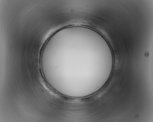 X0000111780986200907230945
