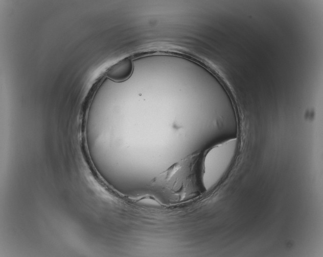 X0000111780987200907230945